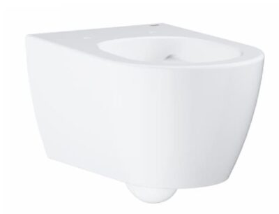 Thân Bồn Cầu Treo Tường Đức Grohe 3957100H